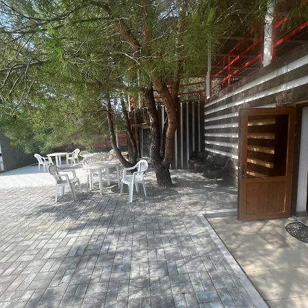 Mini-Hotel Forest Club Pizunda Exteriör bild