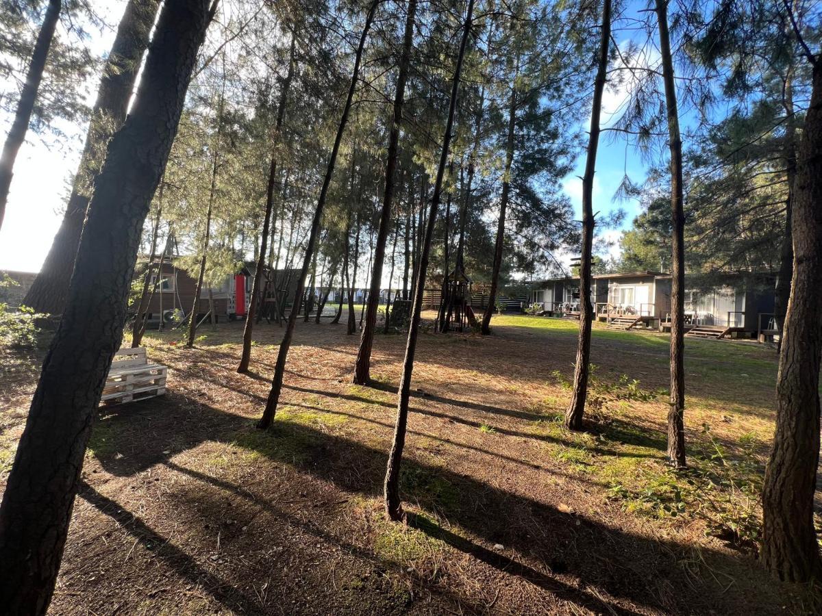 Mini-Hotel Forest Club Pizunda Exteriör bild