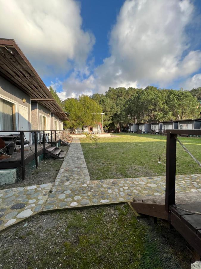 Mini-Hotel Forest Club Pizunda Exteriör bild