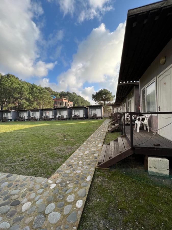 Mini-Hotel Forest Club Pizunda Exteriör bild