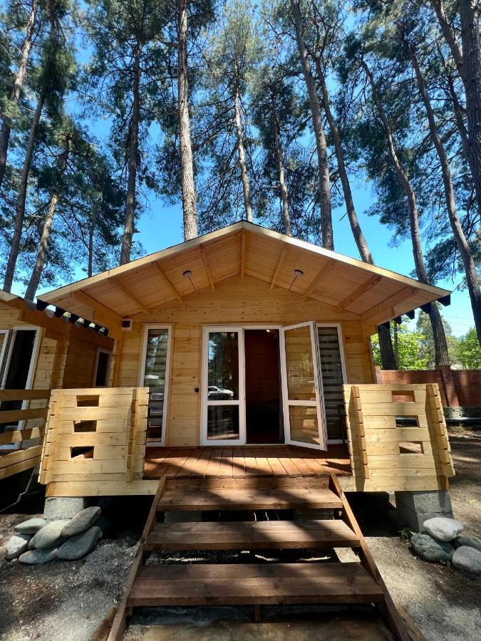 Mini-Hotel Forest Club Pizunda Exteriör bild